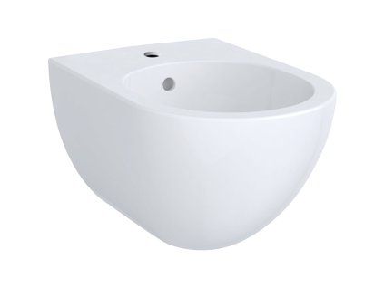 Geberit Acanto - Závesný bidet 510x350x290 mm, s KeraTect, biela 500.601.01.8
