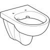 Geberit Selnova - Závesné WC, 530x355 mm, Rimfree, biela 500.265.01.1