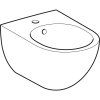 Geberit Acanto - Závesný bidet 510x350x290 mm, s KeraTect, biela 500.601.01.8